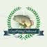 PlJuGsxrXhE-channel-avatar-Carpfishingonline.net