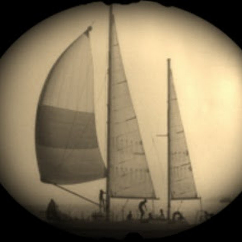 brumeetpinocchioautourdumonde