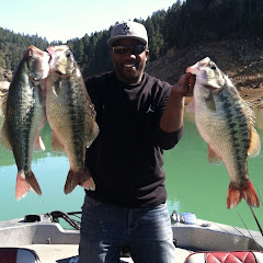 Dante Ray