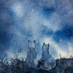そらねこ