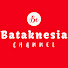 ZBFRs_RWiHk-channel-avatar-BatakNesia Channel
