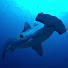 m9bjEMVSoUY-channel-avatar-Dive Cooky