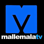 mallemalatv Net Worth