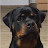 @TheFUNKJAMMER's avatar