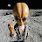 @jasoncollier214's avatar