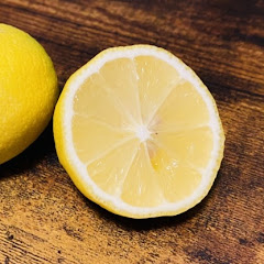 まっちゃんねる[ヤバい植物をゆっくり解説]