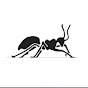 ANTS 2020 Summer School logo