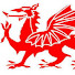 szAPILUcWh4-channel-avatar-DRAGON JUNCTION MK2
