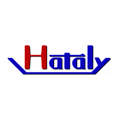 HATALY Co., Ltd. (株式会社ハタリー公式チャンネル)アイコン画像