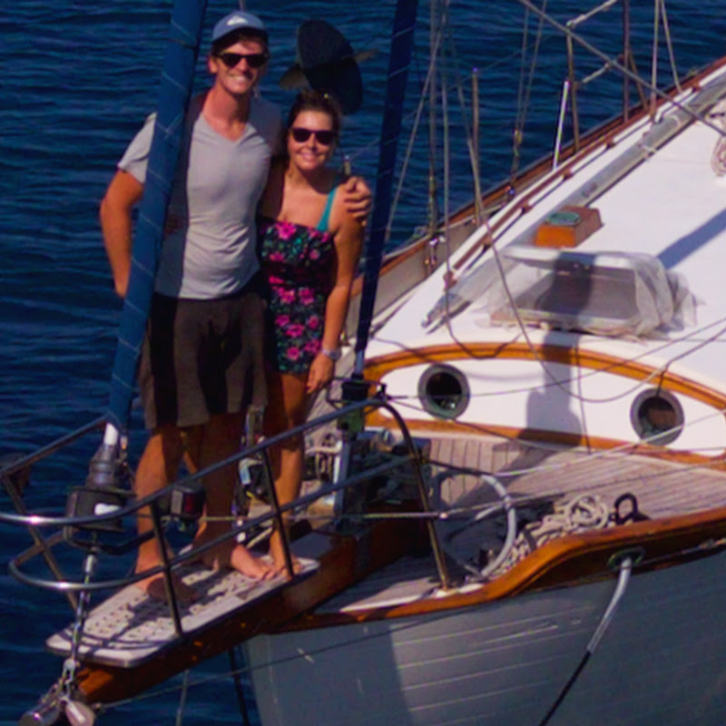 sailingkittiwake