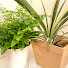 ZXR3jorbGmA-channel-avatar-Olive Kitchen