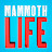 Mammoth Life