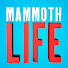 lHM2V7YLcd4-channel-avatar-Mammoth Life