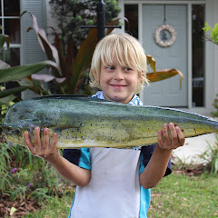 Hammer Fishing