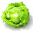 Zeleny Salat