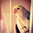 avatar of @nusrat7124