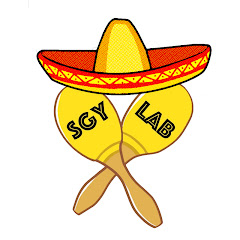 SGY_LAB