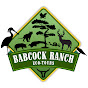 Babcock Ranch Eco Tours logo