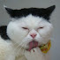 F9K_ndpXsFA-channel-avatar-HACHI WARE