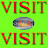 VISIT SHyMet