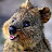 @TheHappyQuokka