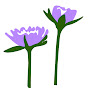 Naples Native Plants logo