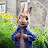 @rogerlapin9809 Avatar