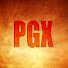 XmQQ1PX8kg0-channel-avatar-PGX