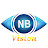 N B VISION