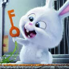Animation Movies