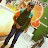 @imadhasan2257