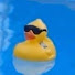v6BR2p7eilU-channel-avatar-butterducks