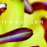 i1kxFPjnswc-channel-avatar-Taller Indibur