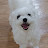 @슈퍼리치-q7w