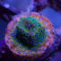 Ddu2oLrFTV0-channel-avatar-Frag Farm