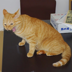 Traちゃんw 【Tractor】