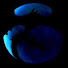 vQgTUHN75uU-channel-avatar-Finn