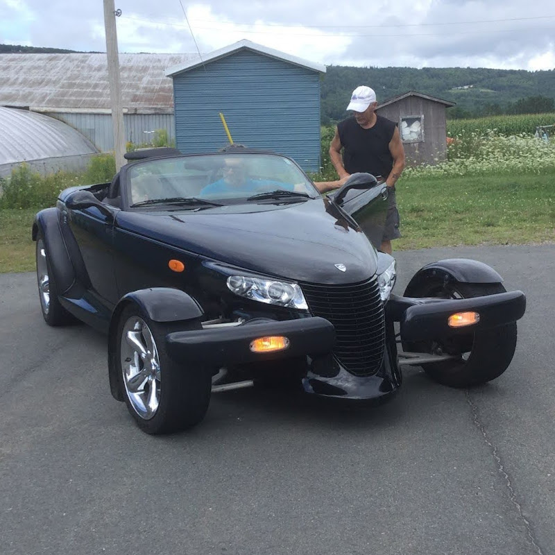 Elite Cars