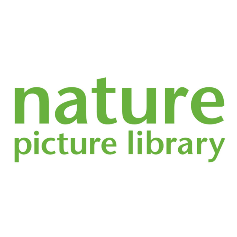 Nature Picture Library