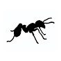 Ants Here logo