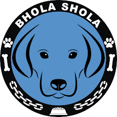 Bhola Shola Avatar