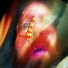 jbwYoNuTx1Q-channel-avatar-Ken Lieck