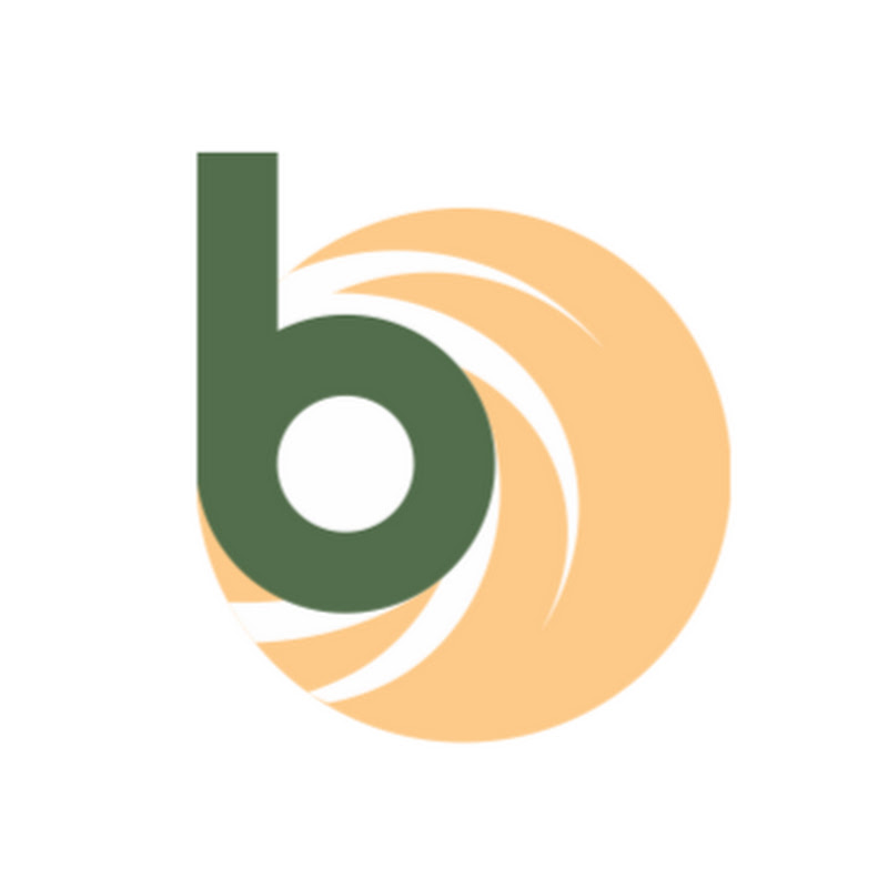 BANSAL AUDIO VISUAL SYSTEMS PRIVATE LIMITED