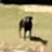 @colbyfrancoeur3549's avatar