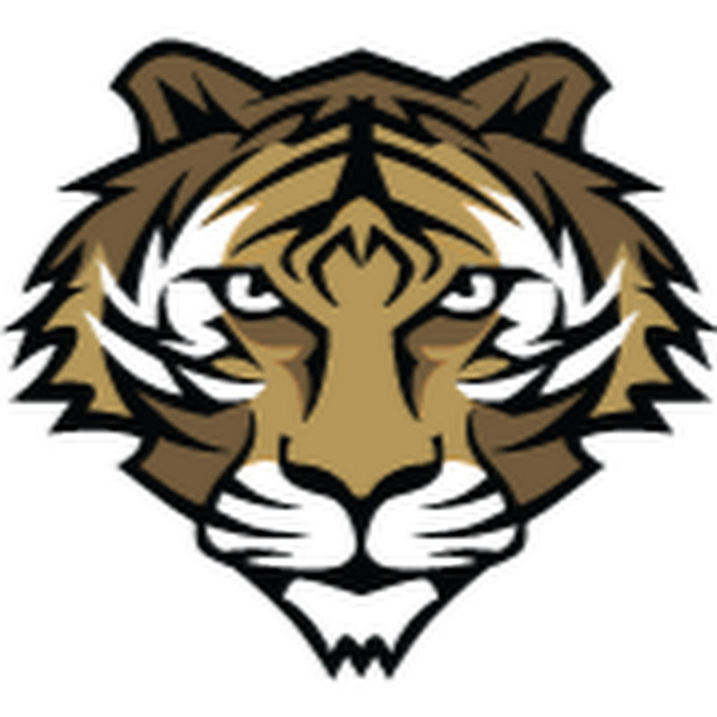 Trinity Academy PE