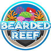 Bearded Reef