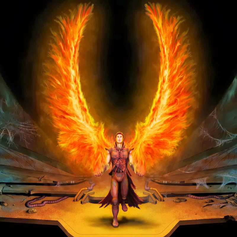 VagasFirebird