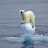 @giuseppeprimerano5687's avatar