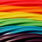 Toy Jelly Net Worth