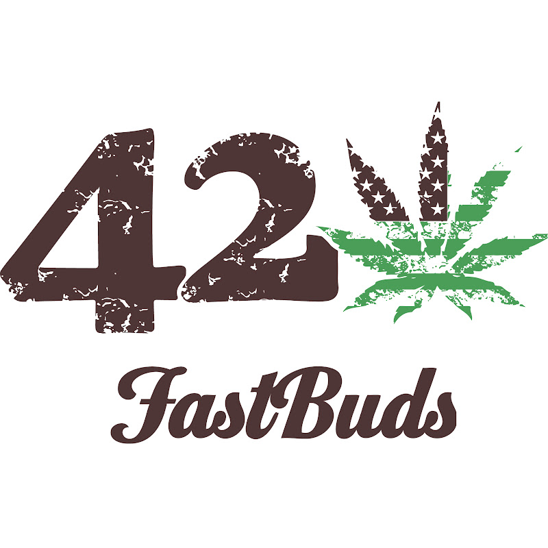Fast Buds icon
